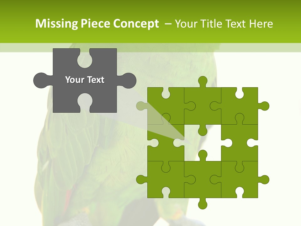 Ochrocephala Yellow Crowned Peru PowerPoint Template