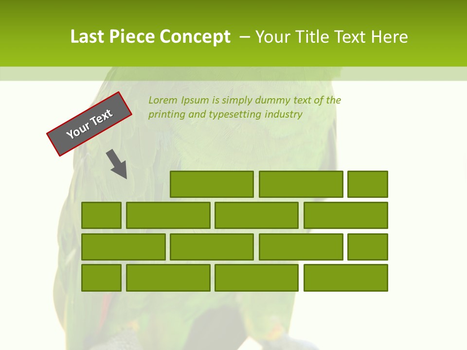 Ochrocephala Yellow Crowned Peru PowerPoint Template