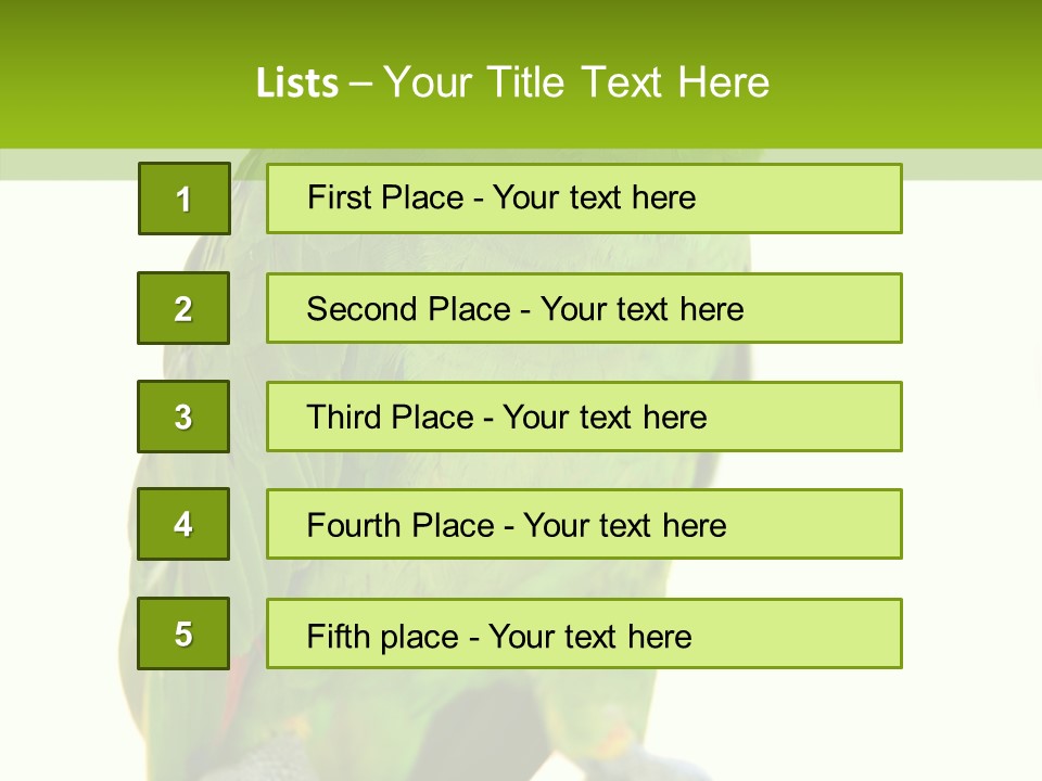 Ochrocephala Yellow Crowned Peru PowerPoint Template