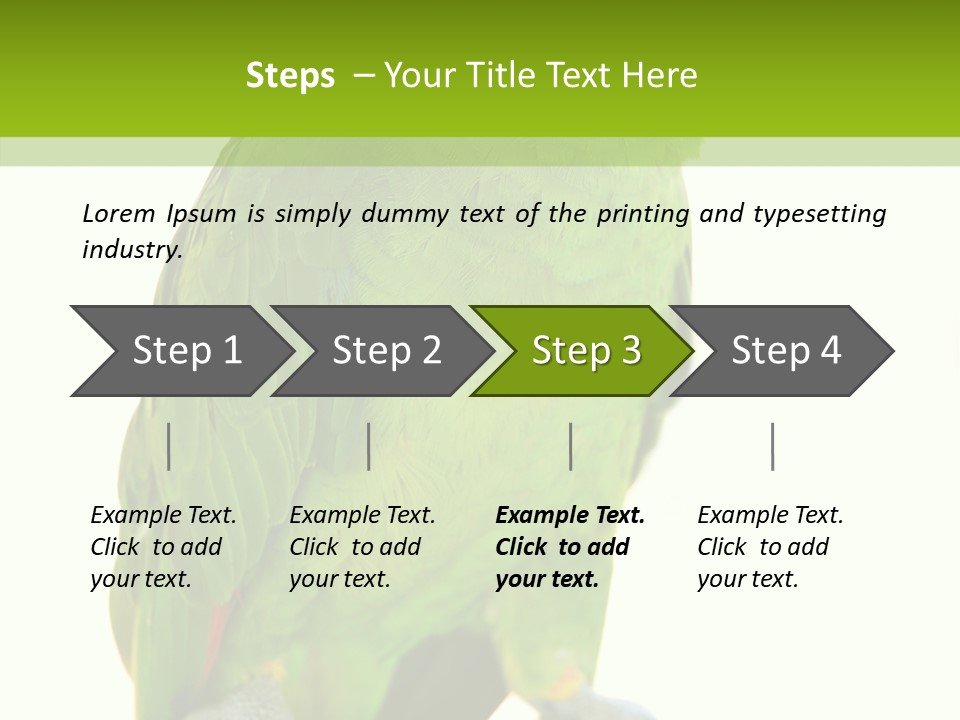 Ochrocephala Yellow Crowned Peru PowerPoint Template