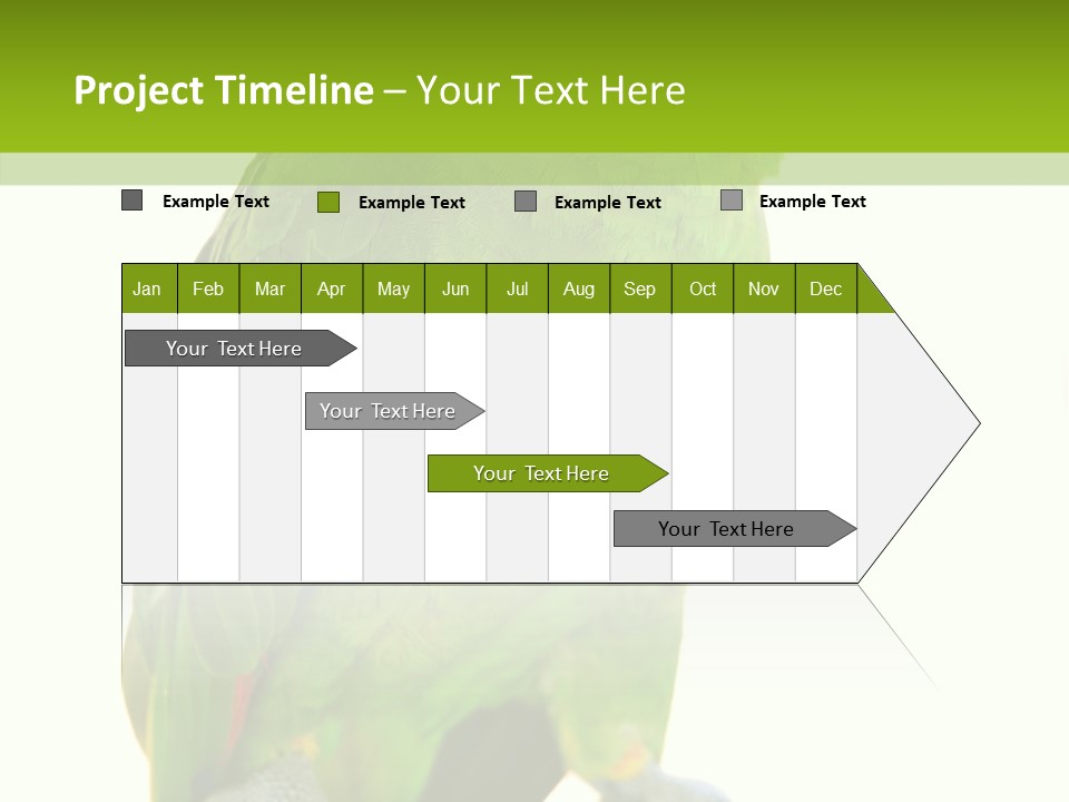 Ochrocephala Yellow Crowned Peru PowerPoint Template