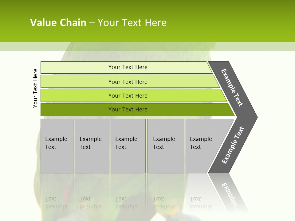 Ochrocephala Yellow Crowned Peru PowerPoint Template