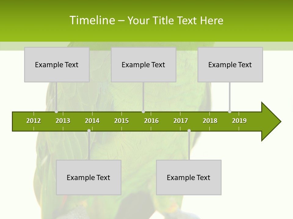 Ochrocephala Yellow Crowned Peru PowerPoint Template