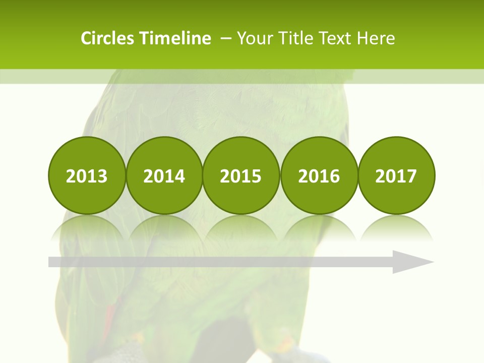 Ochrocephala Yellow Crowned Peru PowerPoint Template