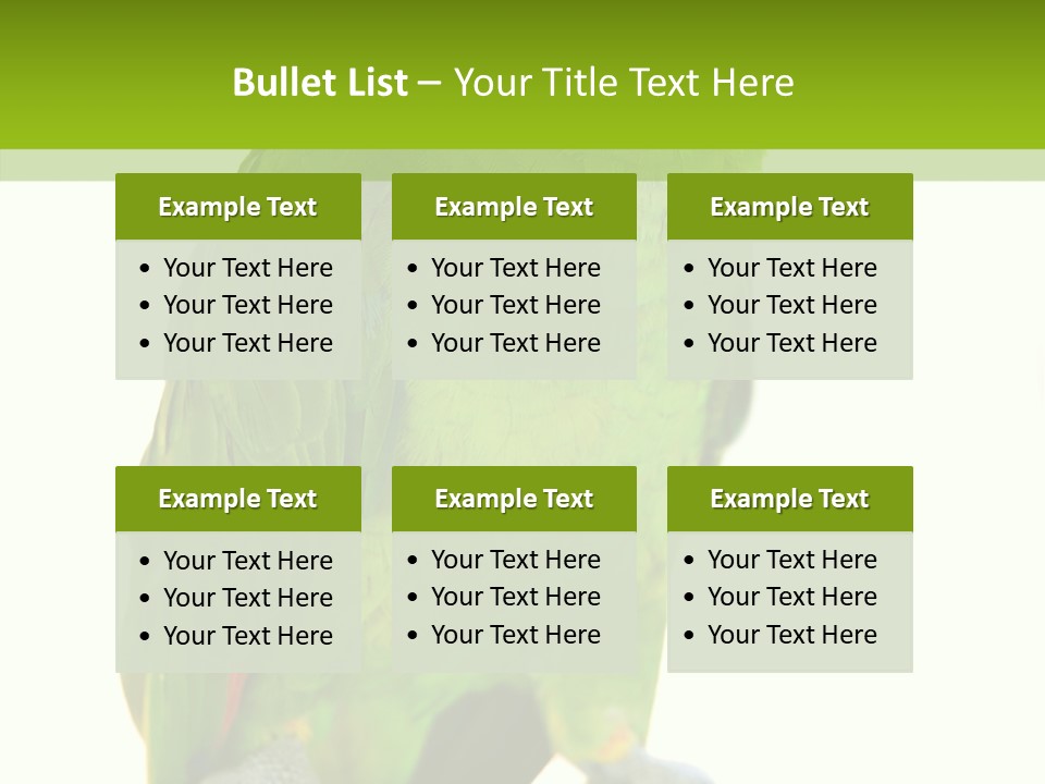 Ochrocephala Yellow Crowned Peru PowerPoint Template