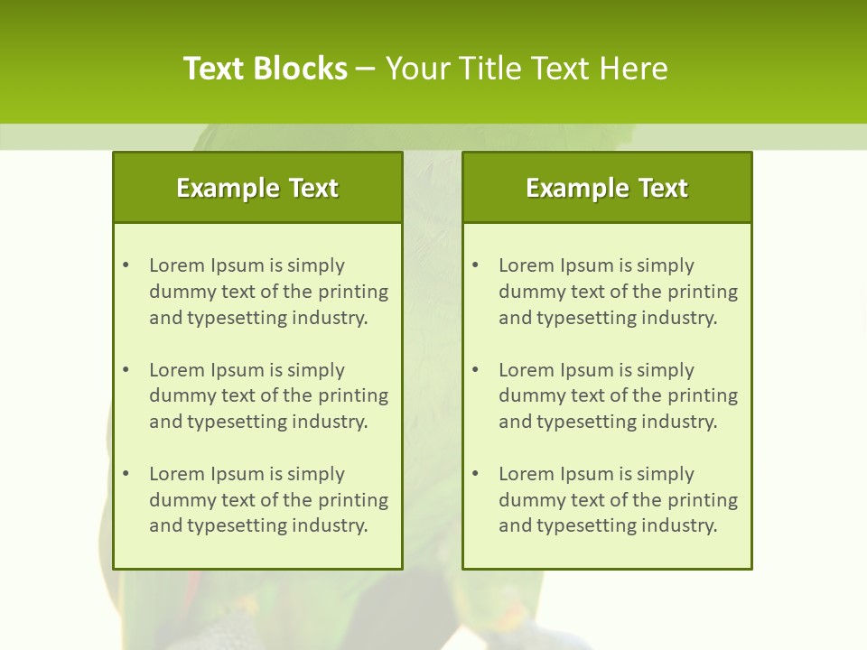 Ochrocephala Yellow Crowned Peru PowerPoint Template