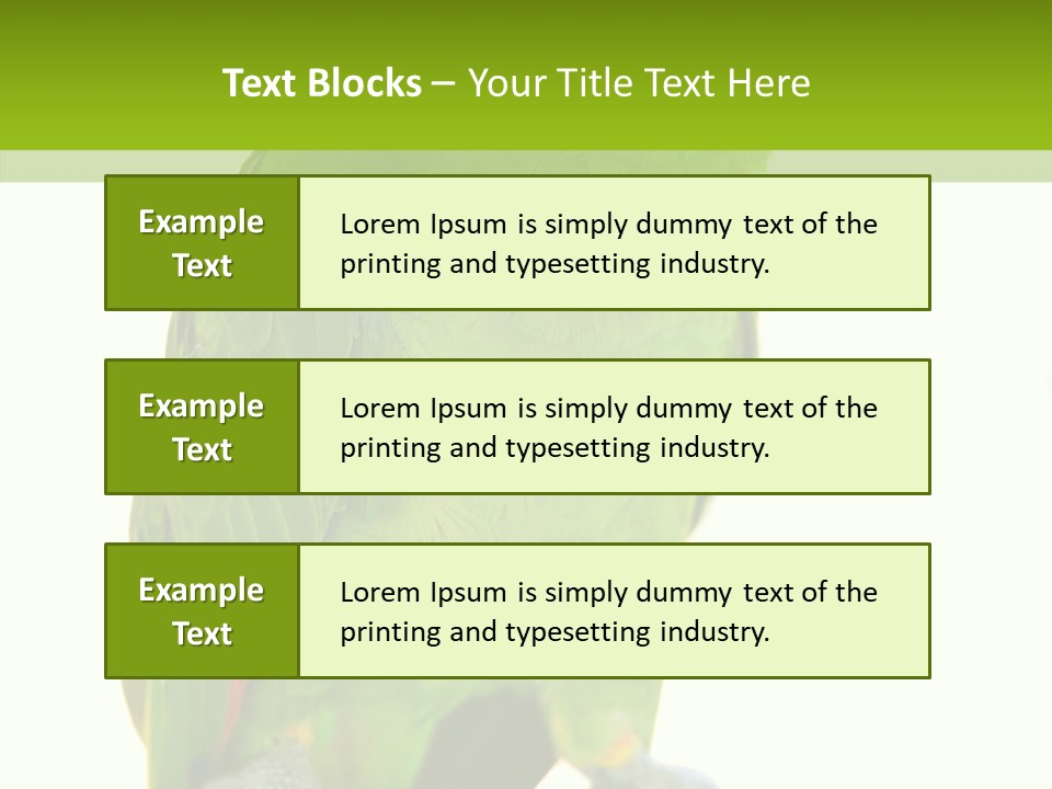 Ochrocephala Yellow Crowned Peru PowerPoint Template