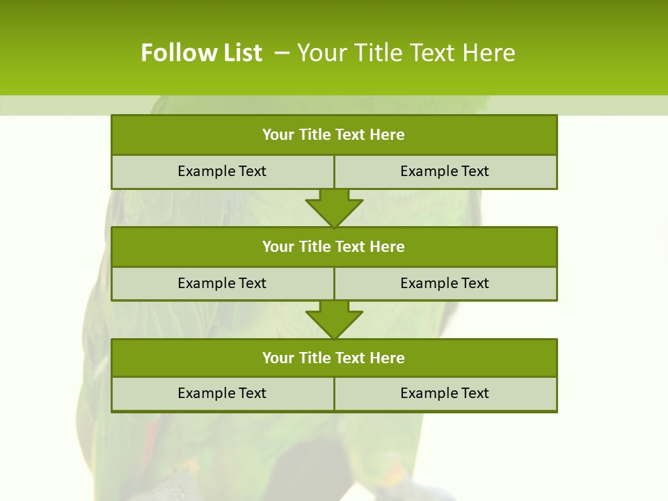Ochrocephala Yellow Crowned Peru PowerPoint Template