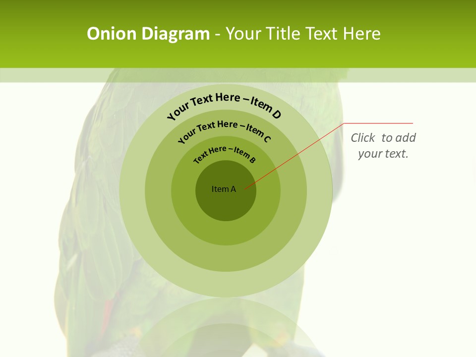 Ochrocephala Yellow Crowned Peru PowerPoint Template