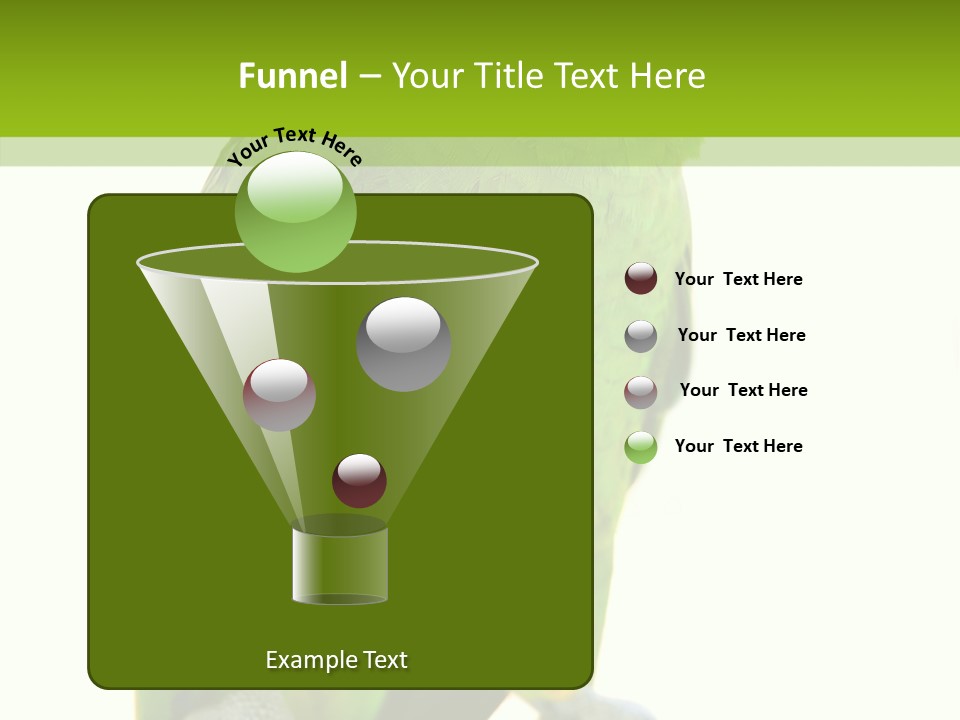 Ochrocephala Yellow Crowned Peru PowerPoint Template