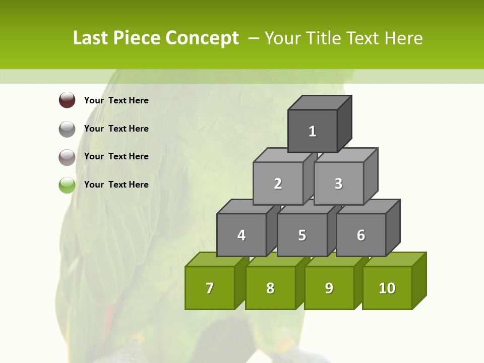 Ochrocephala Yellow Crowned Peru PowerPoint Template