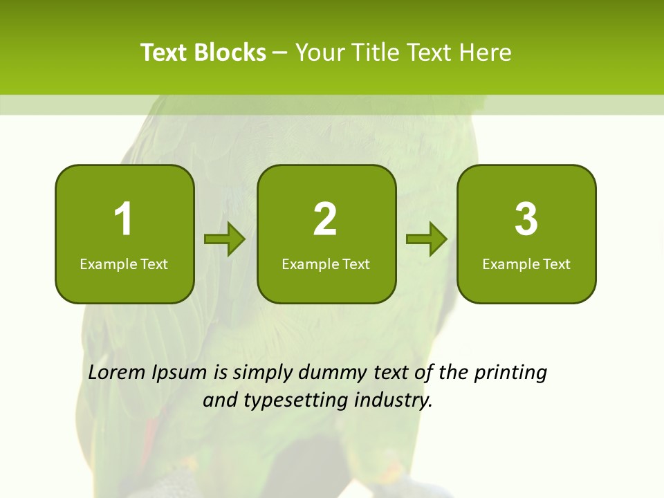 Ochrocephala Yellow Crowned Peru PowerPoint Template