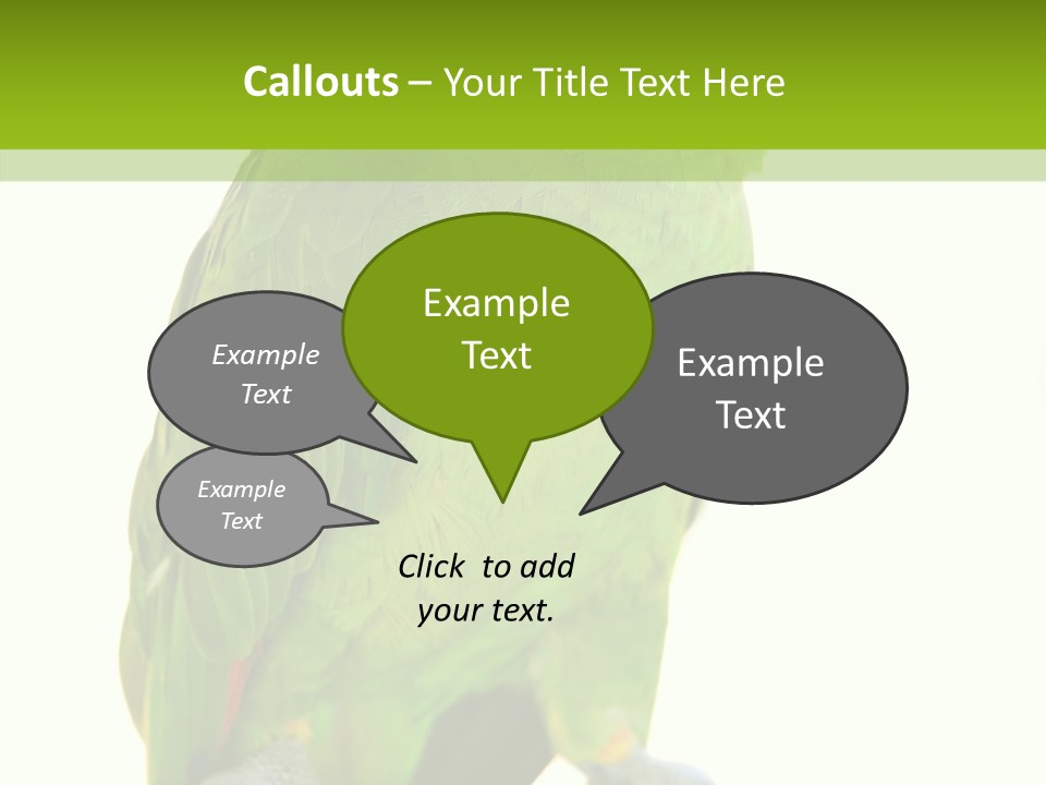 Ochrocephala Yellow Crowned Peru PowerPoint Template