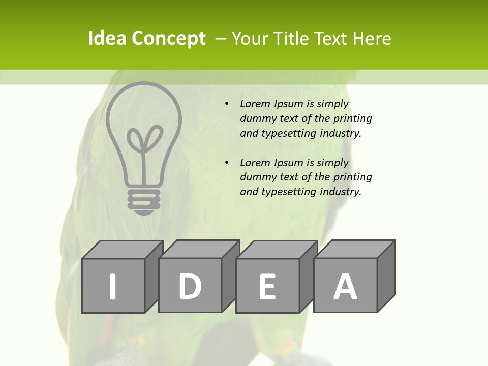 Ochrocephala Yellow Crowned Peru PowerPoint Template