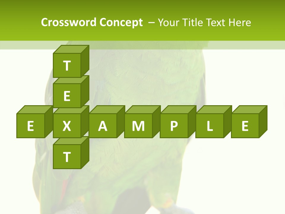 Ochrocephala Yellow Crowned Peru PowerPoint Template