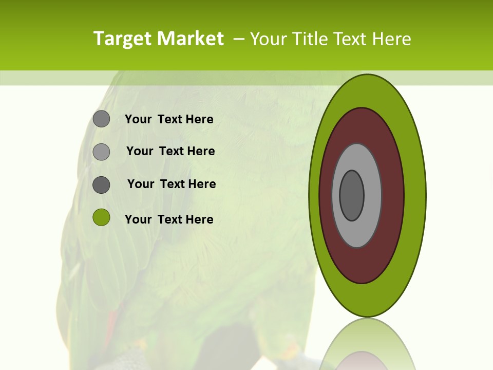 Ochrocephala Yellow Crowned Peru PowerPoint Template