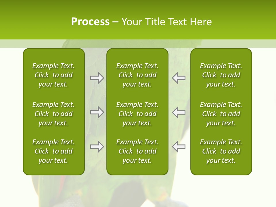 Ochrocephala Yellow Crowned Peru PowerPoint Template