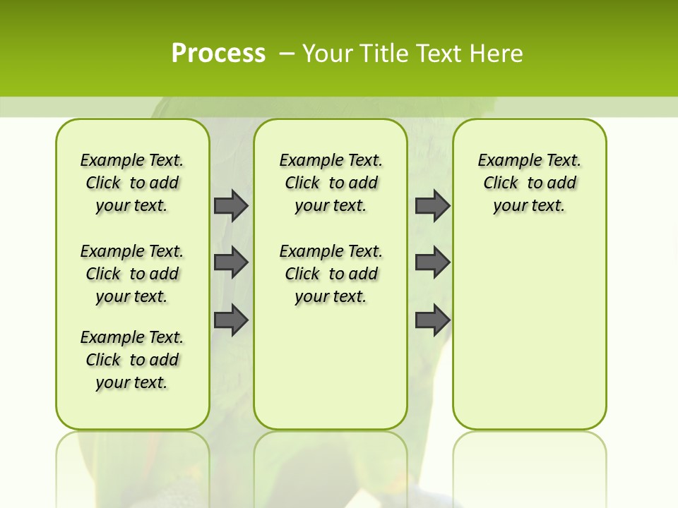 Ochrocephala Yellow Crowned Peru PowerPoint Template
