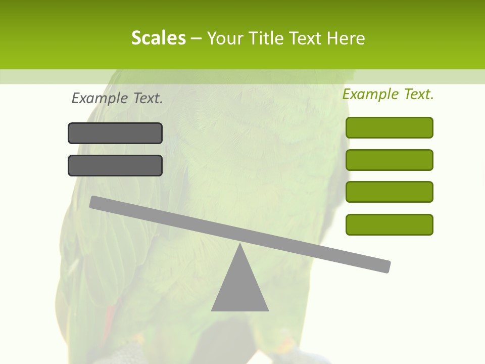 Ochrocephala Yellow Crowned Peru PowerPoint Template