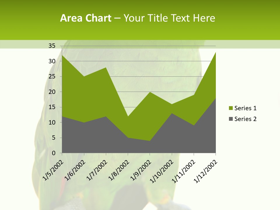 Ochrocephala Yellow Crowned Peru PowerPoint Template