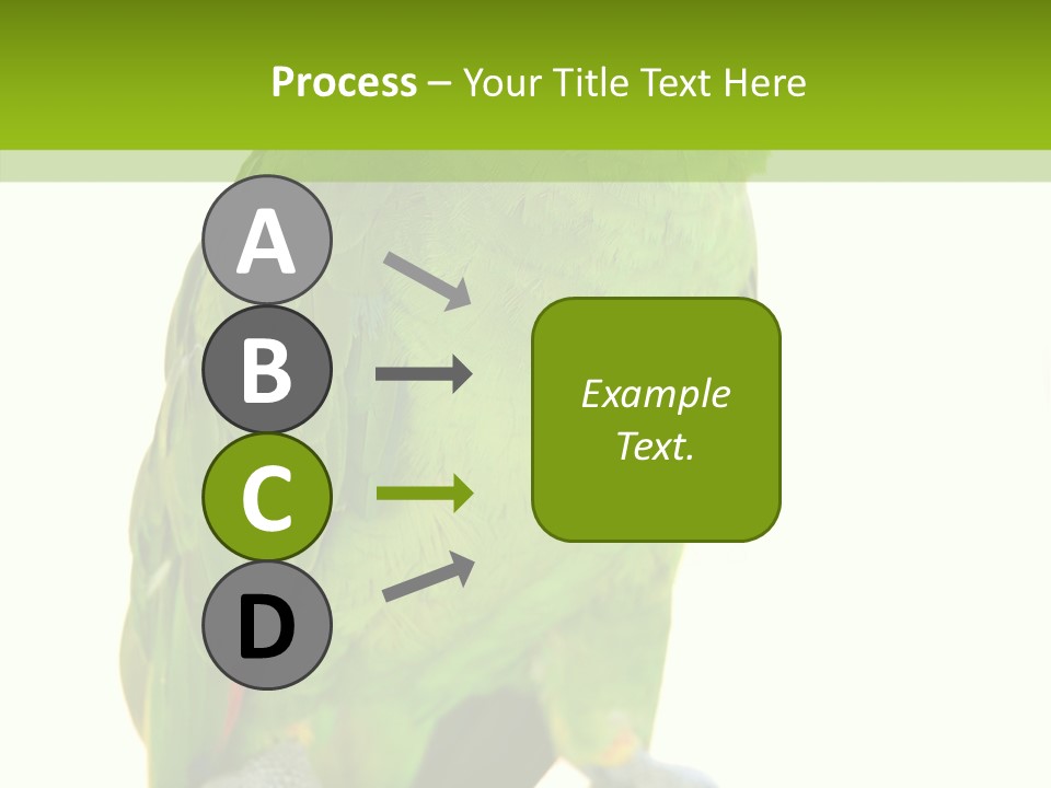 Ochrocephala Yellow Crowned Peru PowerPoint Template