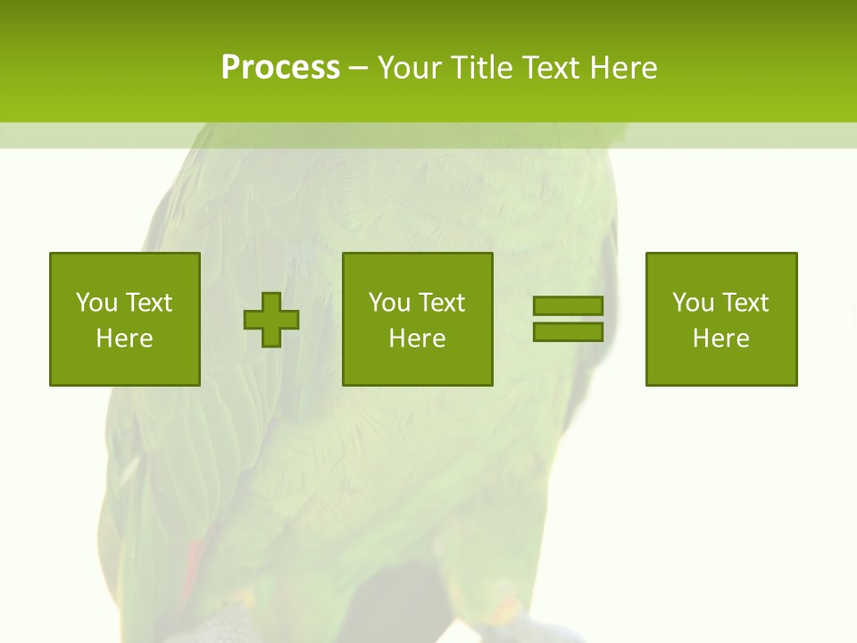 Ochrocephala Yellow Crowned Peru PowerPoint Template