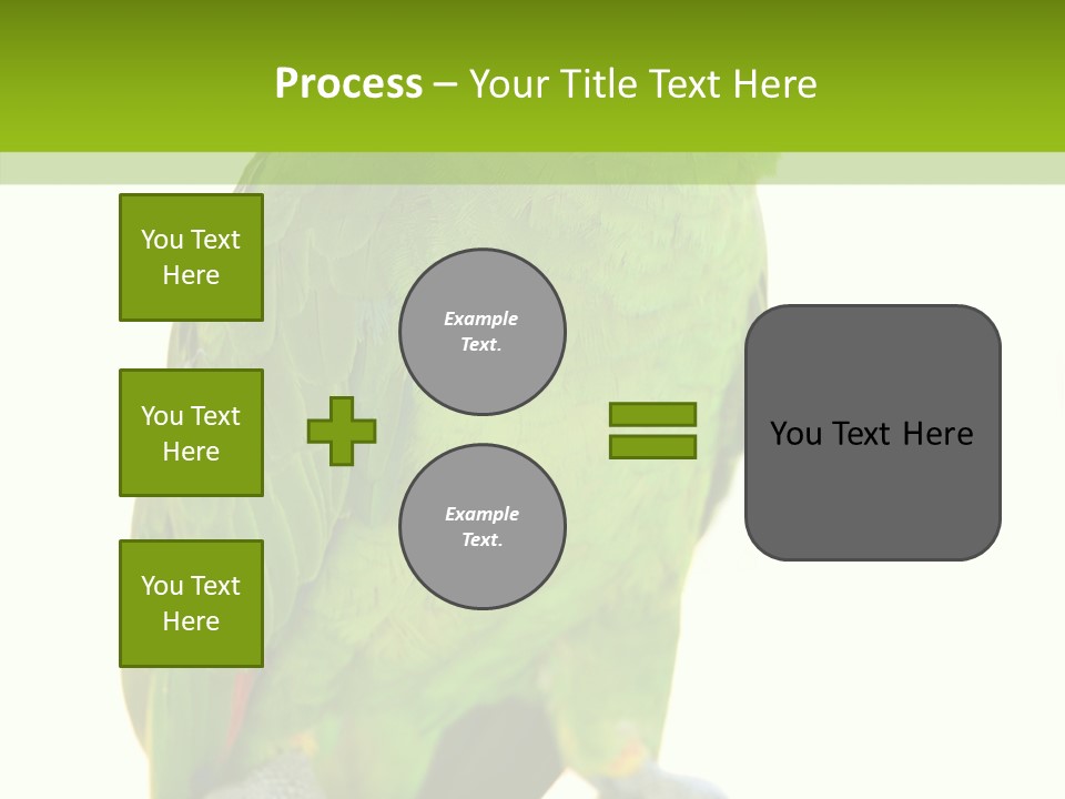 Ochrocephala Yellow Crowned Peru PowerPoint Template