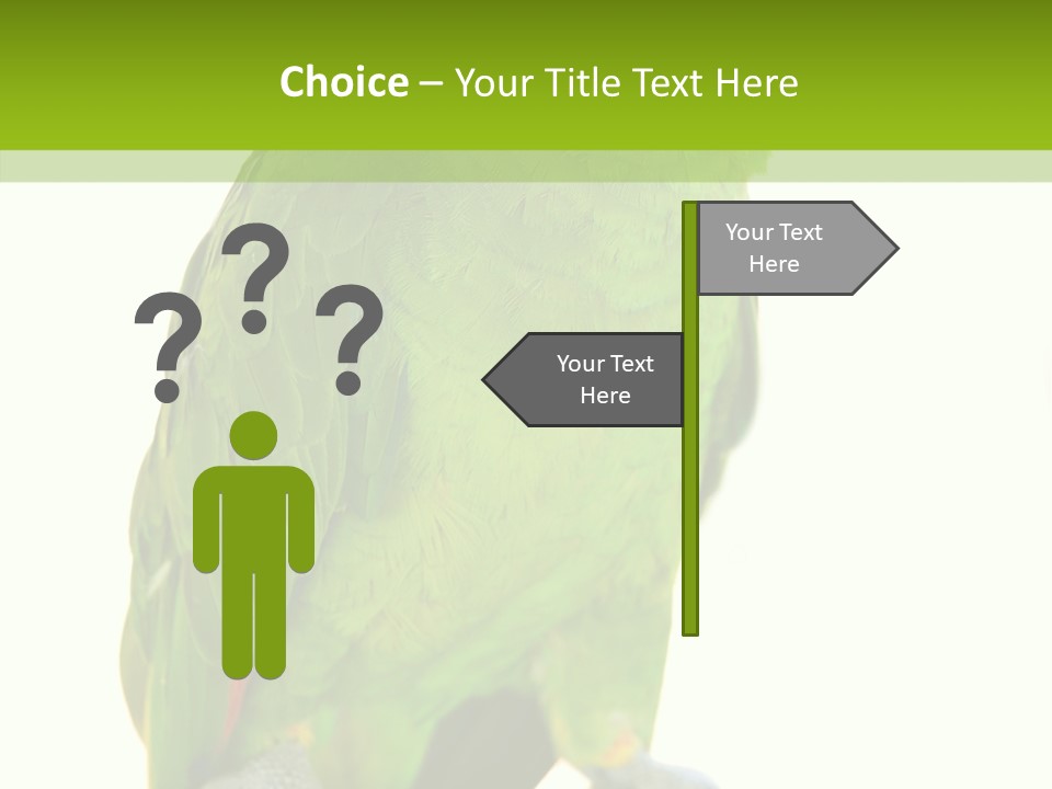 Ochrocephala Yellow Crowned Peru PowerPoint Template