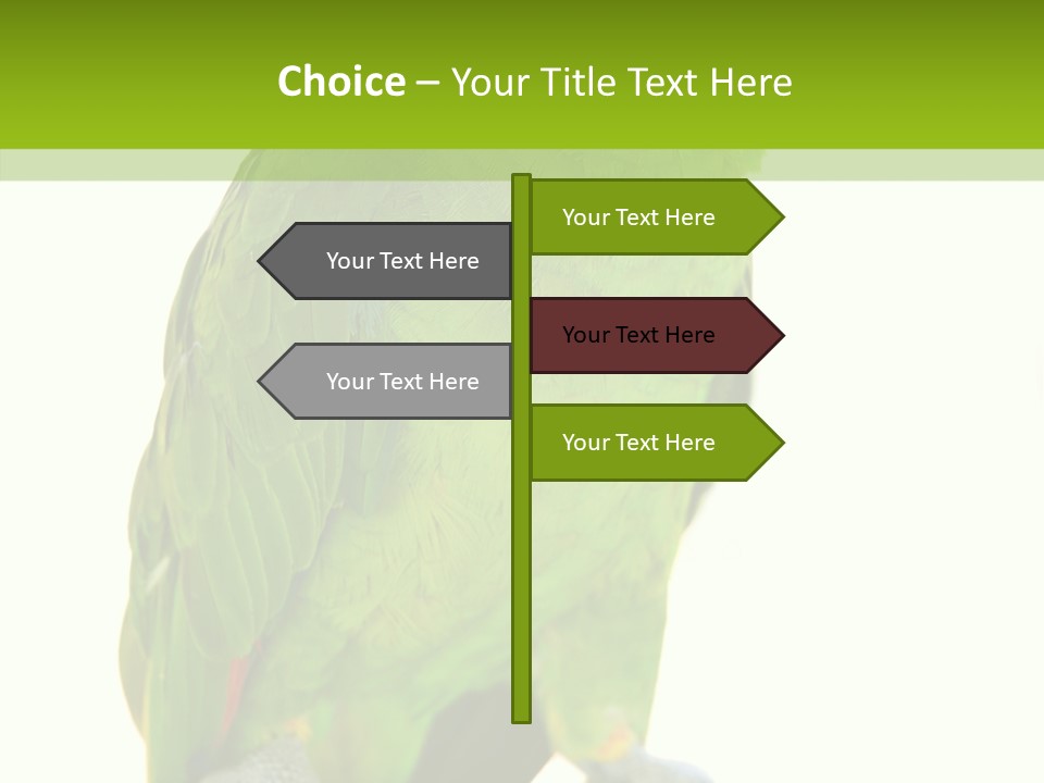 Ochrocephala Yellow Crowned Peru PowerPoint Template