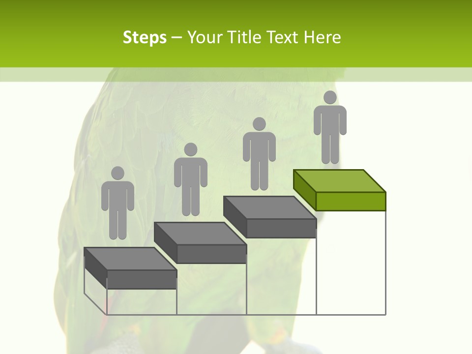 Ochrocephala Yellow Crowned Peru PowerPoint Template