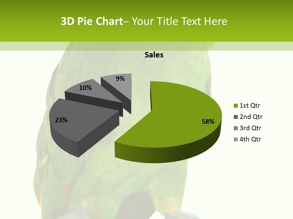 Ochrocephala Yellow Crowned Peru PowerPoint Template