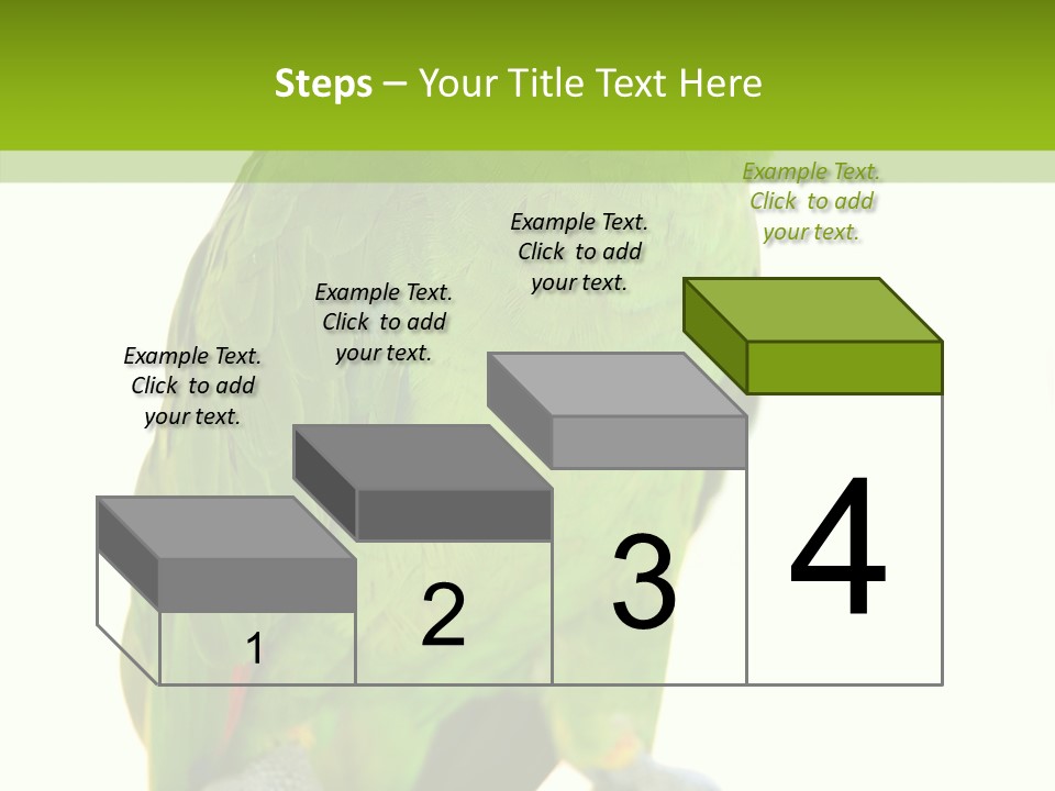 Ochrocephala Yellow Crowned Peru PowerPoint Template