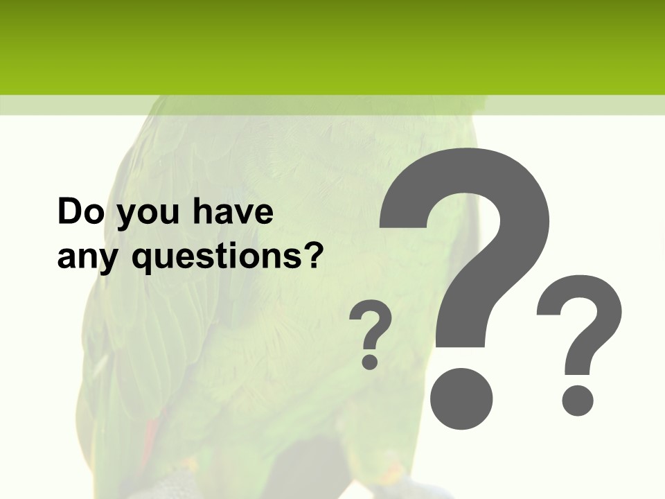 Ochrocephala Yellow Crowned Peru PowerPoint Template