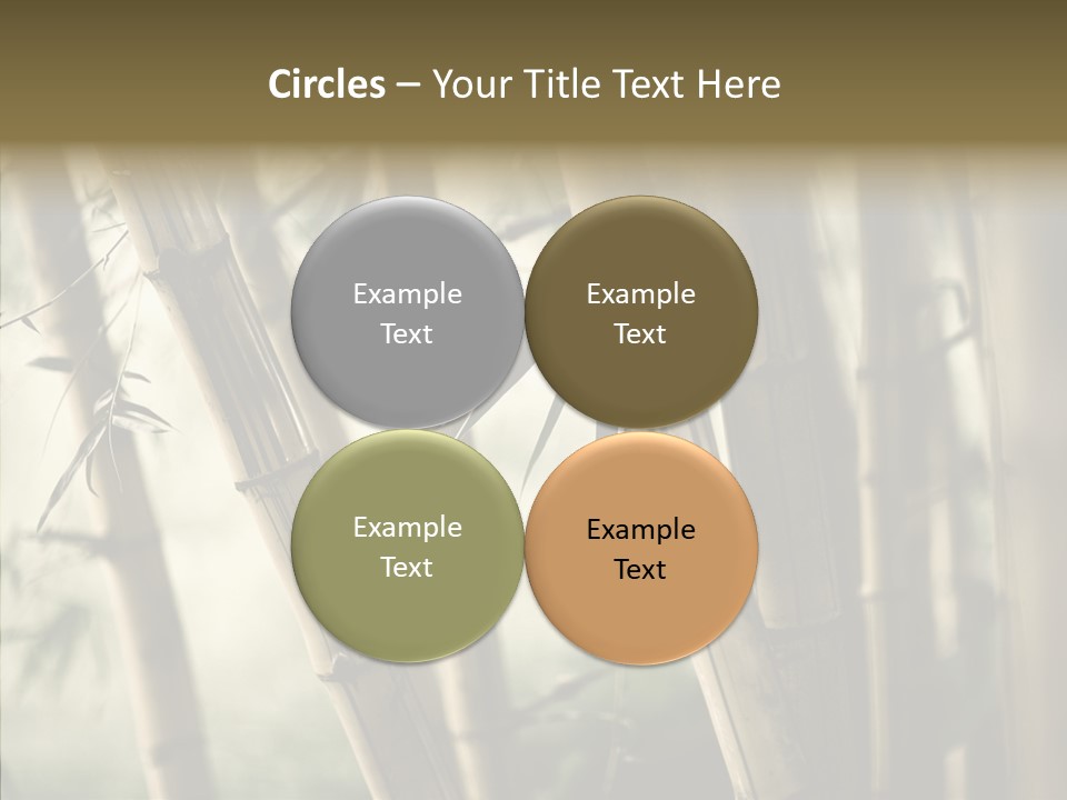 Gardening Stem Bamboo PowerPoint Template