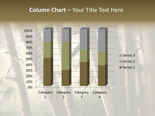Gardening Stem Bamboo PowerPoint Template