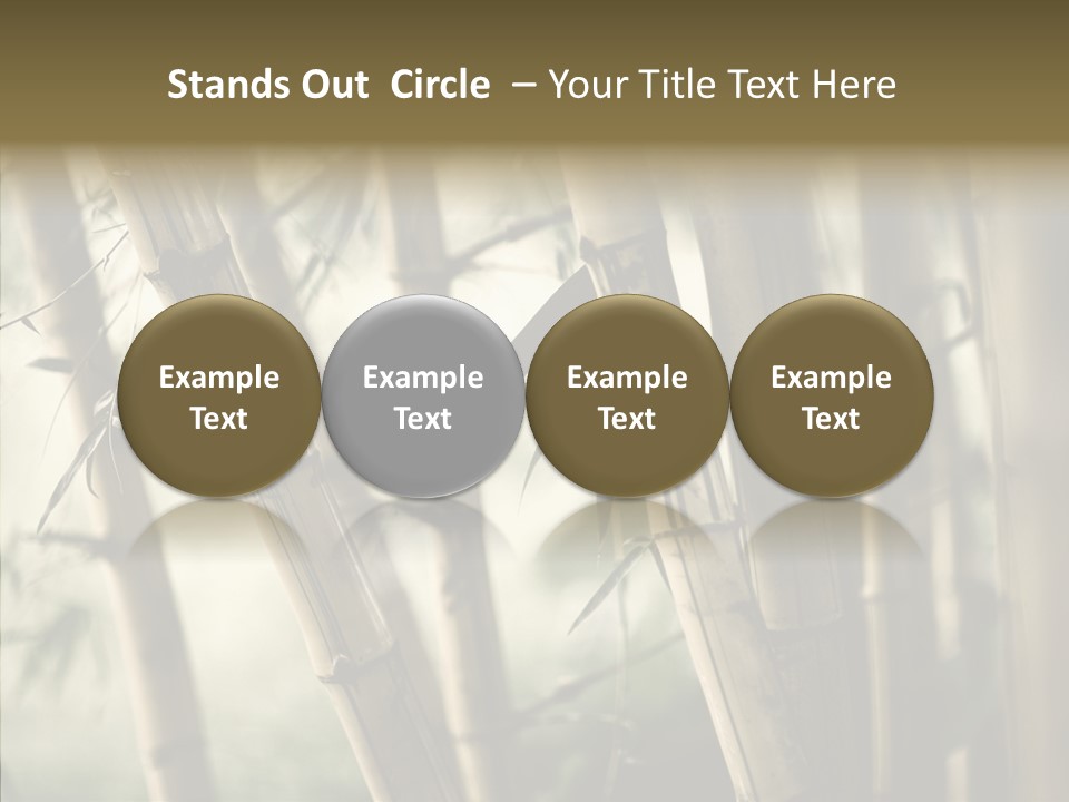 Gardening Stem Bamboo PowerPoint Template