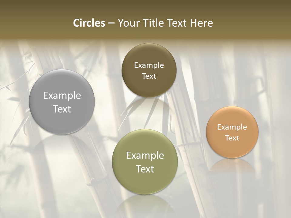 Gardening Stem Bamboo PowerPoint Template