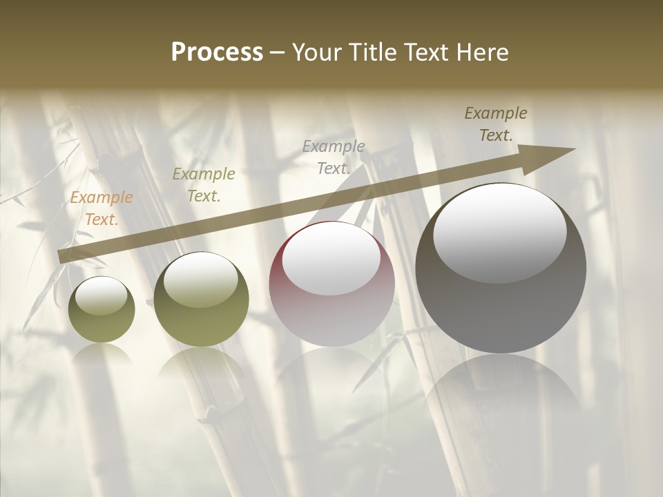 Gardening Stem Bamboo PowerPoint Template