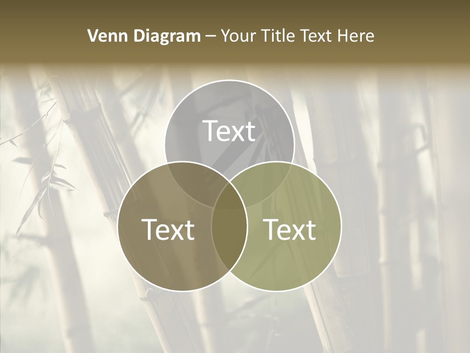 Gardening Stem Bamboo PowerPoint Template