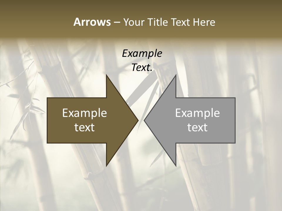 Gardening Stem Bamboo PowerPoint Template