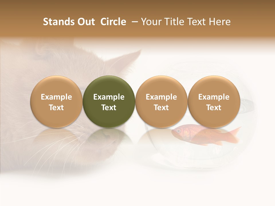 Anticipate Food Look PowerPoint Template