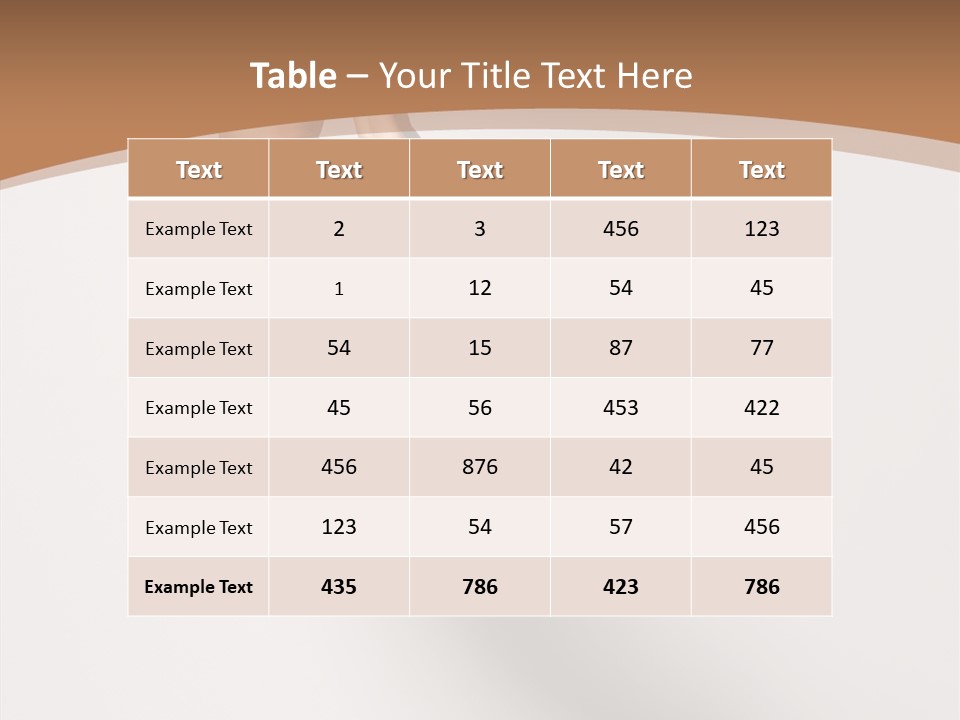 Fly Model Stunt PowerPoint Template
