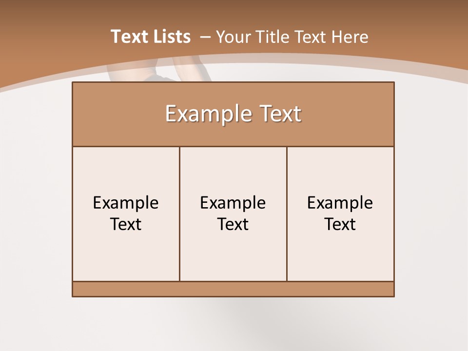 Fly Model Stunt PowerPoint Template