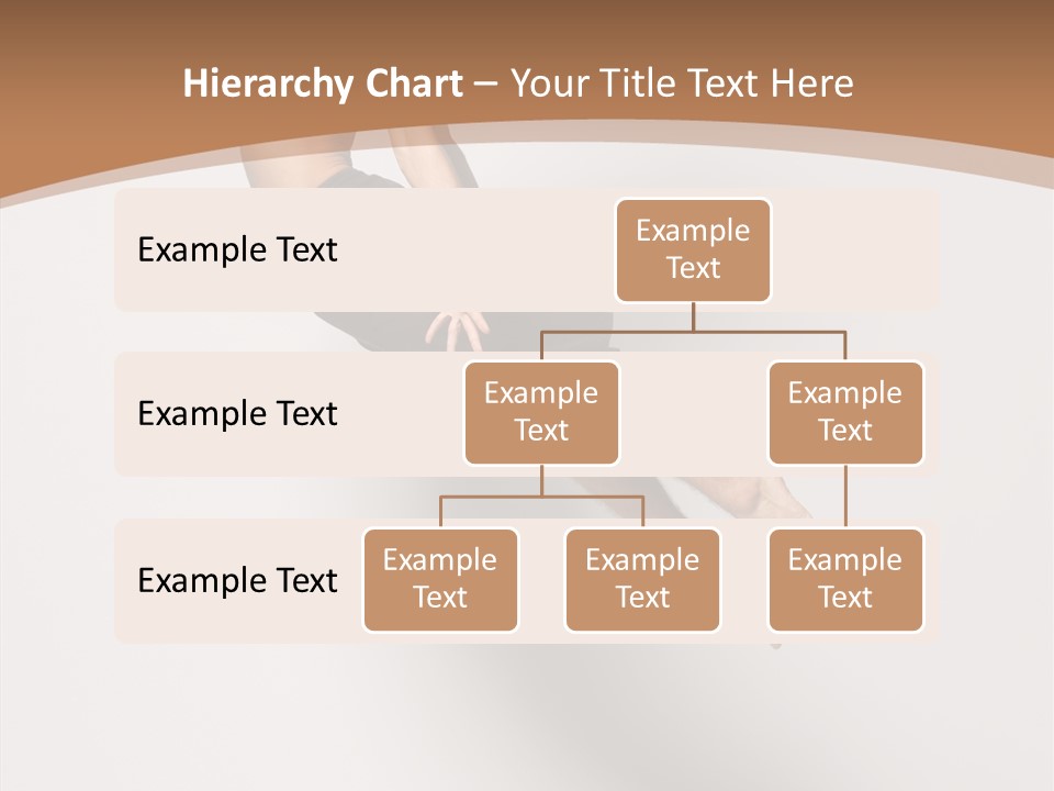 Fly Model Stunt PowerPoint Template