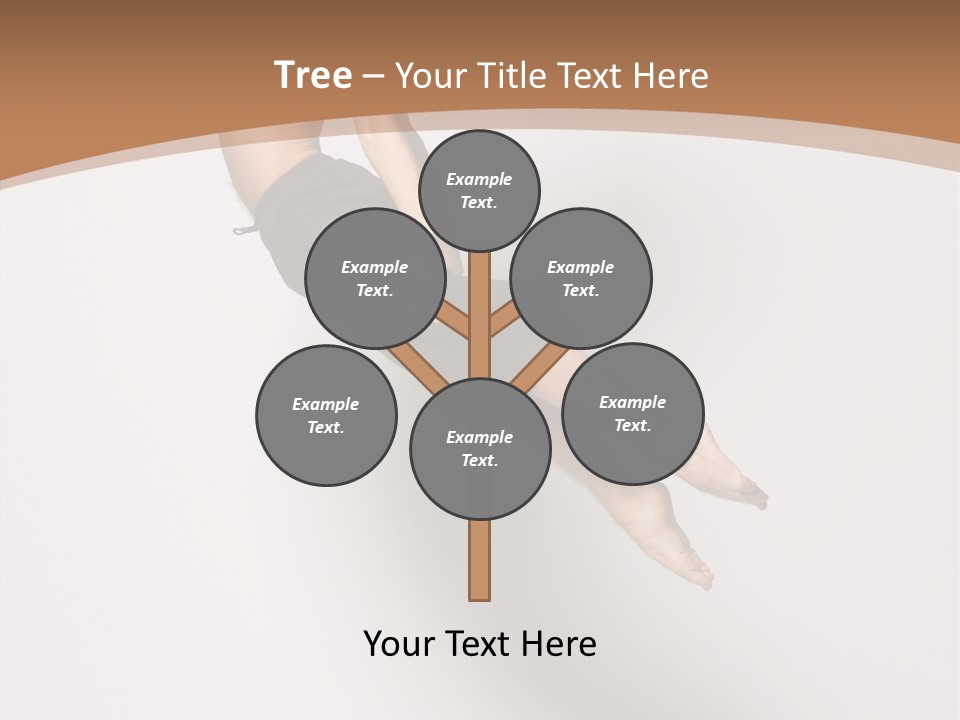 Fly Model Stunt PowerPoint Template