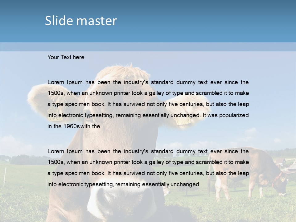 Funny Bull Landscape PowerPoint Template