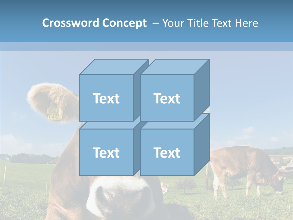 Funny Bull Landscape PowerPoint Template