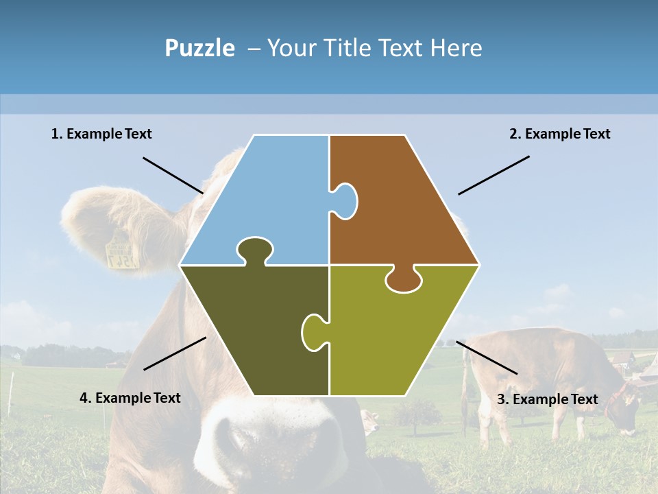 Funny Bull Landscape PowerPoint Template