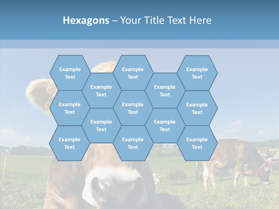 Funny Bull Landscape PowerPoint Template