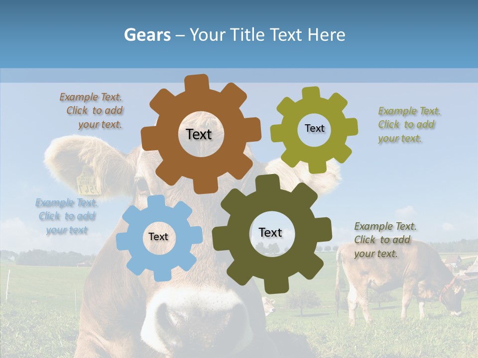 Funny Bull Landscape PowerPoint Template